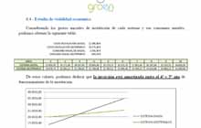 Estudio económico geotermia Groen